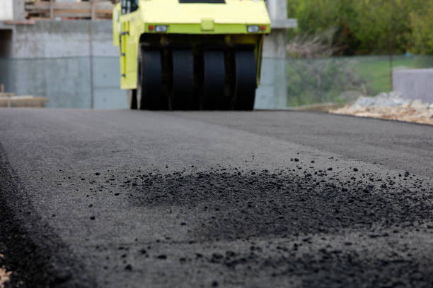 Best Driveway Pavers Near Me  in Shavano Park, TX