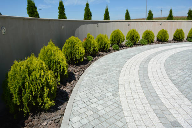 Best Driveway Paving Contractor  in Shavano Park, TX