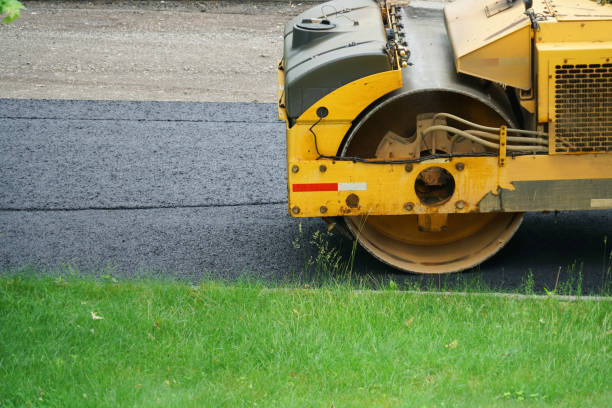 Best Driveway Paver Sealing  in Shavano Park, TX